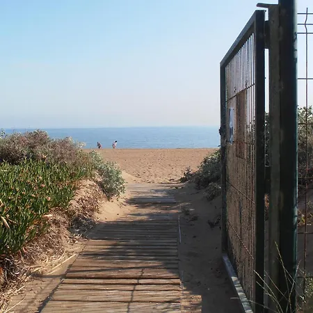 Marinas,vistas Frontales Playa Denia